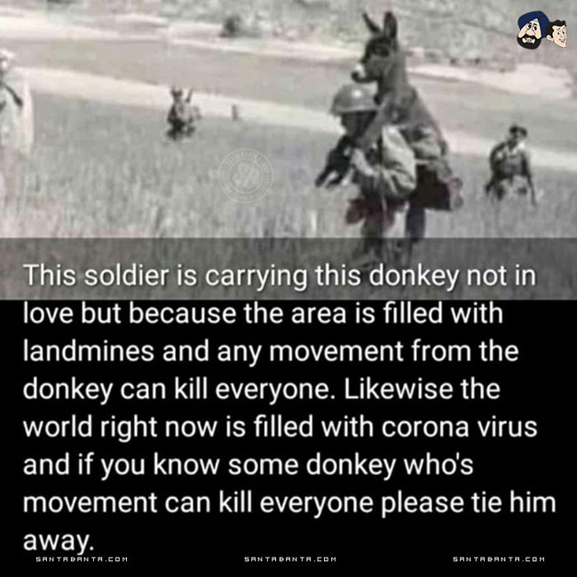 joke_donkey.jpg